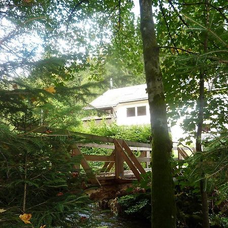 Apartment Schwarzwald Total فرودنستاد الغرفة الصورة