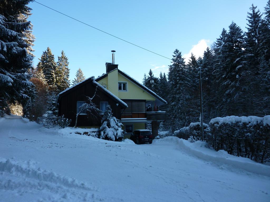 Apartment Schwarzwald Total فرودنستاد المظهر الخارجي الصورة