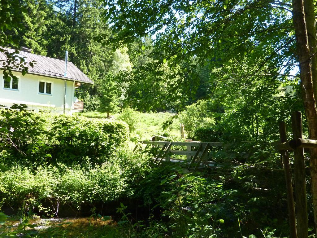 Apartment Schwarzwald Total فرودنستاد المظهر الخارجي الصورة
