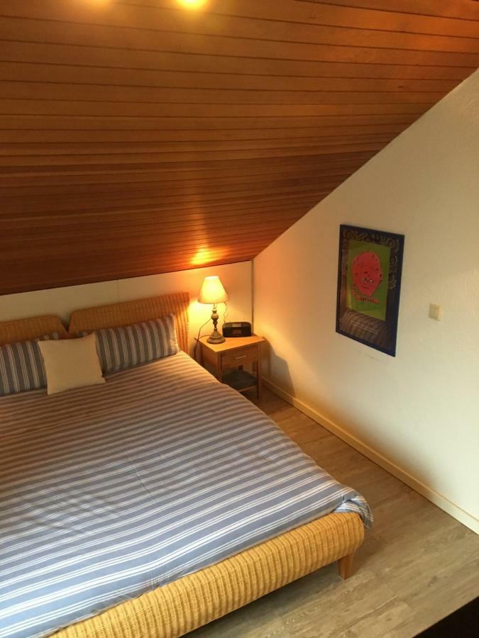Apartment Schwarzwald Total فرودنستاد المظهر الخارجي الصورة